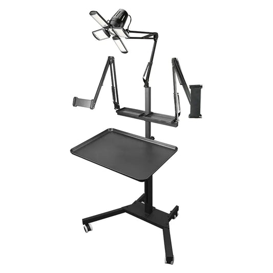 TAIDU PROMOTION MULTI-FUNCTIONAL DOUBLE HOLDER TATTOO BENCH WITH LIGHT INKSOULSUPPLY.COM