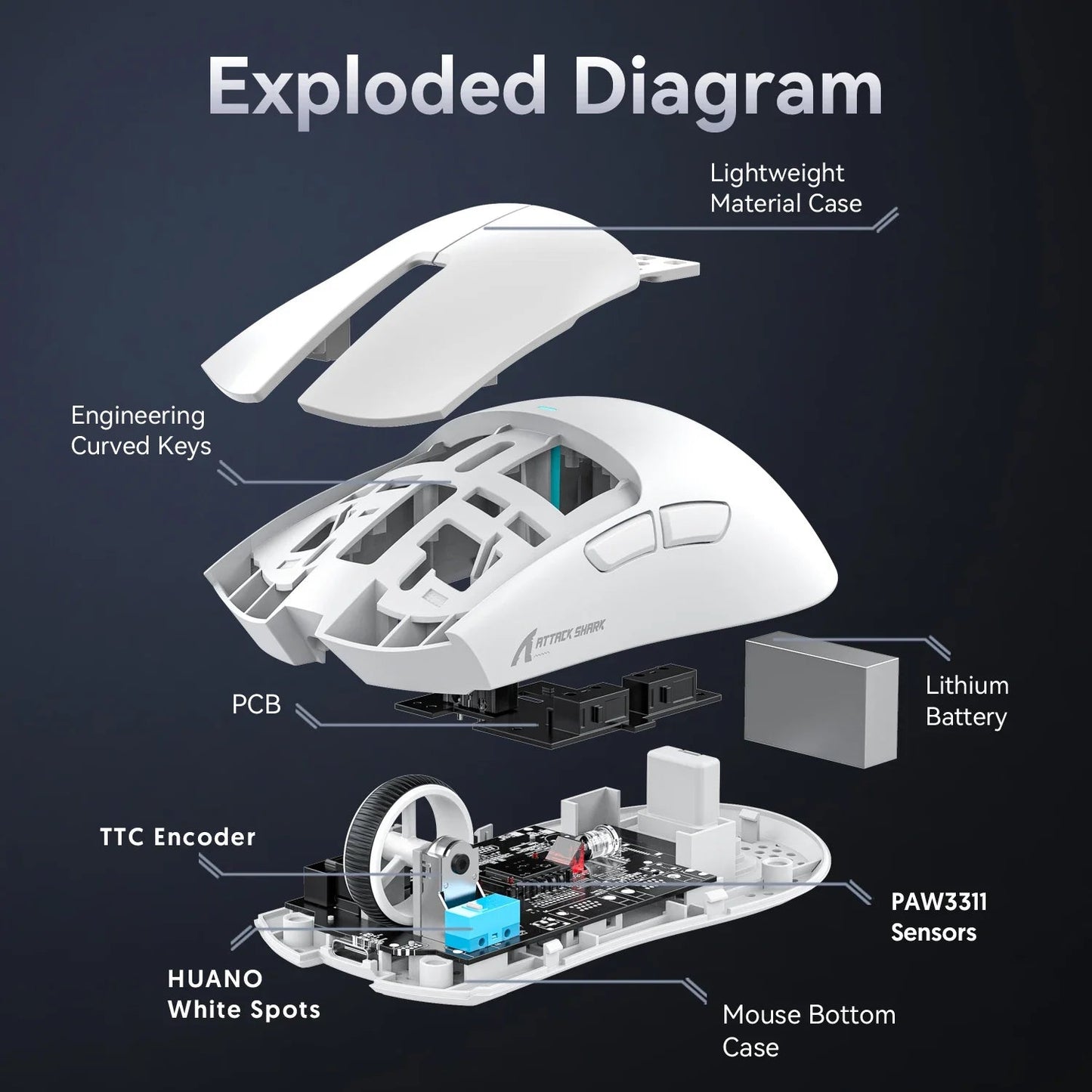 Tri-Mode Connection 2.4GHz/Wired/Bluetooth PAW3311 22000DPI 400IPS RGB  PC Gaming Mouse Electronics Den
