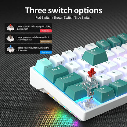 Tri-mode Mechanical Keyboard Electronics Den