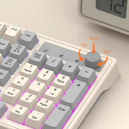 98-key Wireless Keyboard Rainbow Light Electronics Den
