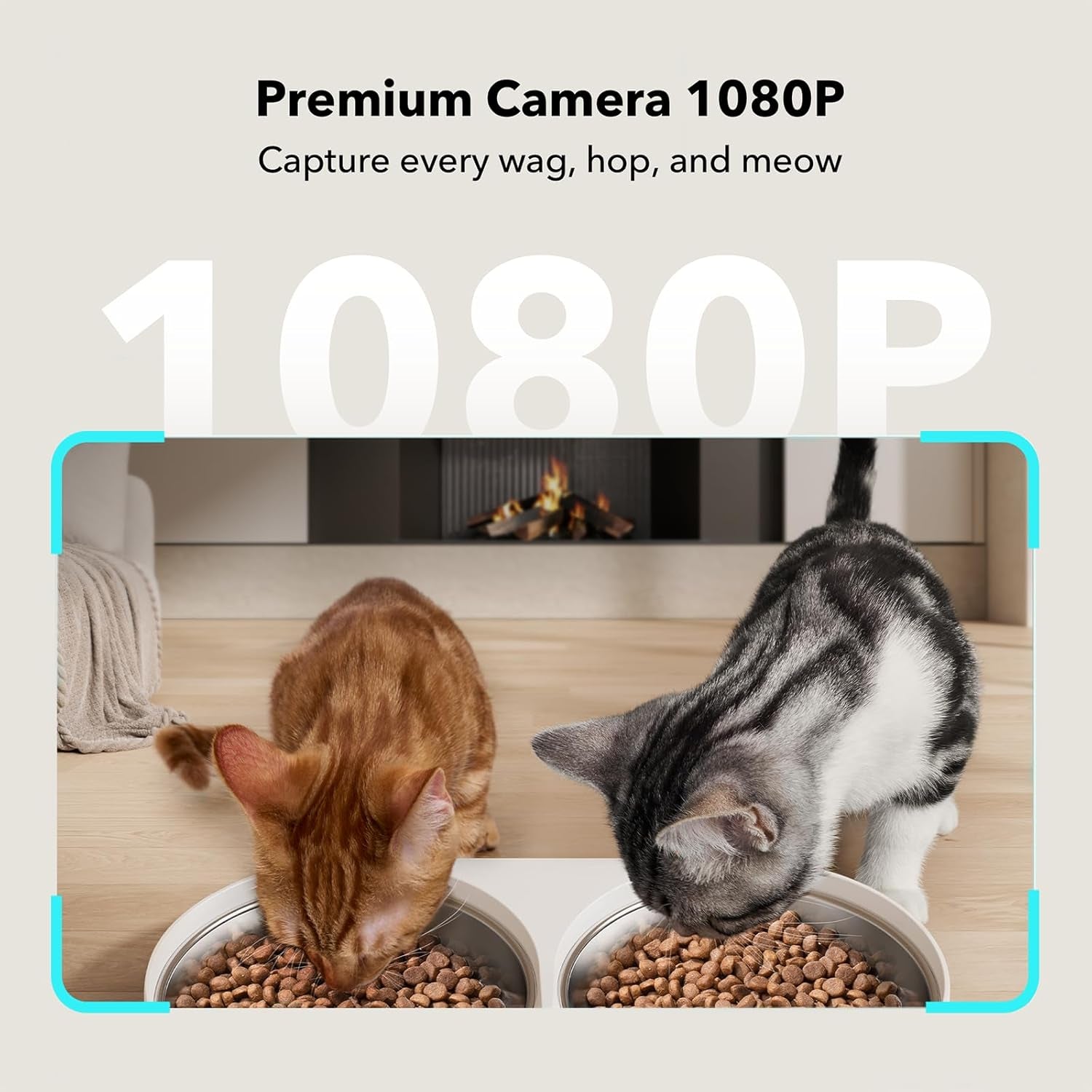 PETLIBRO Automatic Cat Feeder with Camera for Two Cats, 1080P HD Video with Night Vision, 5G Wifi Pet Feeder with Phone APP Control, 2-Way Audio for Cat & Dog, Low Food & Motion & Sound Alerts BazaarBox